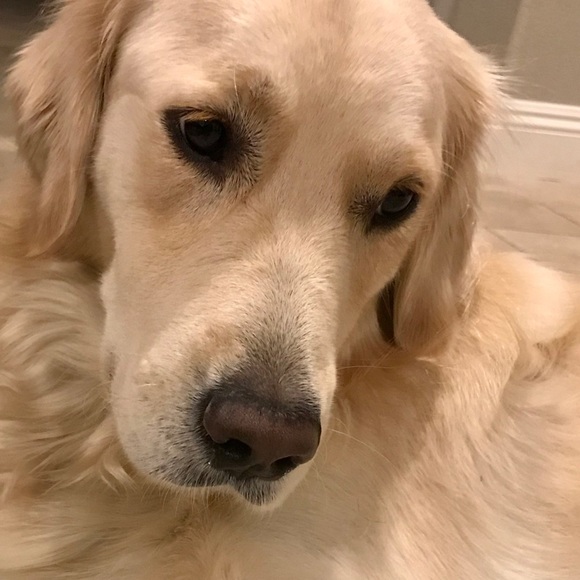 Welcome to my closet!  I’m a Posh Ambassador! - Picture 3 of 3